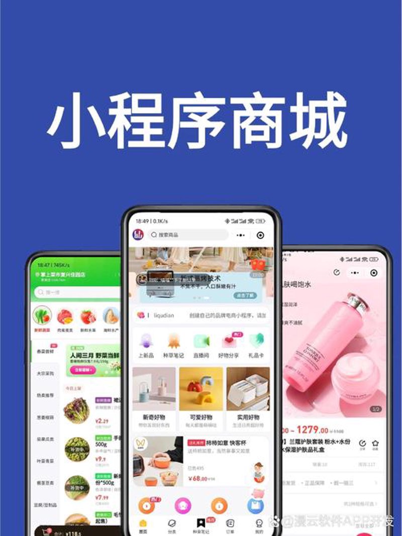 如何选择合适的软件定制开发服务