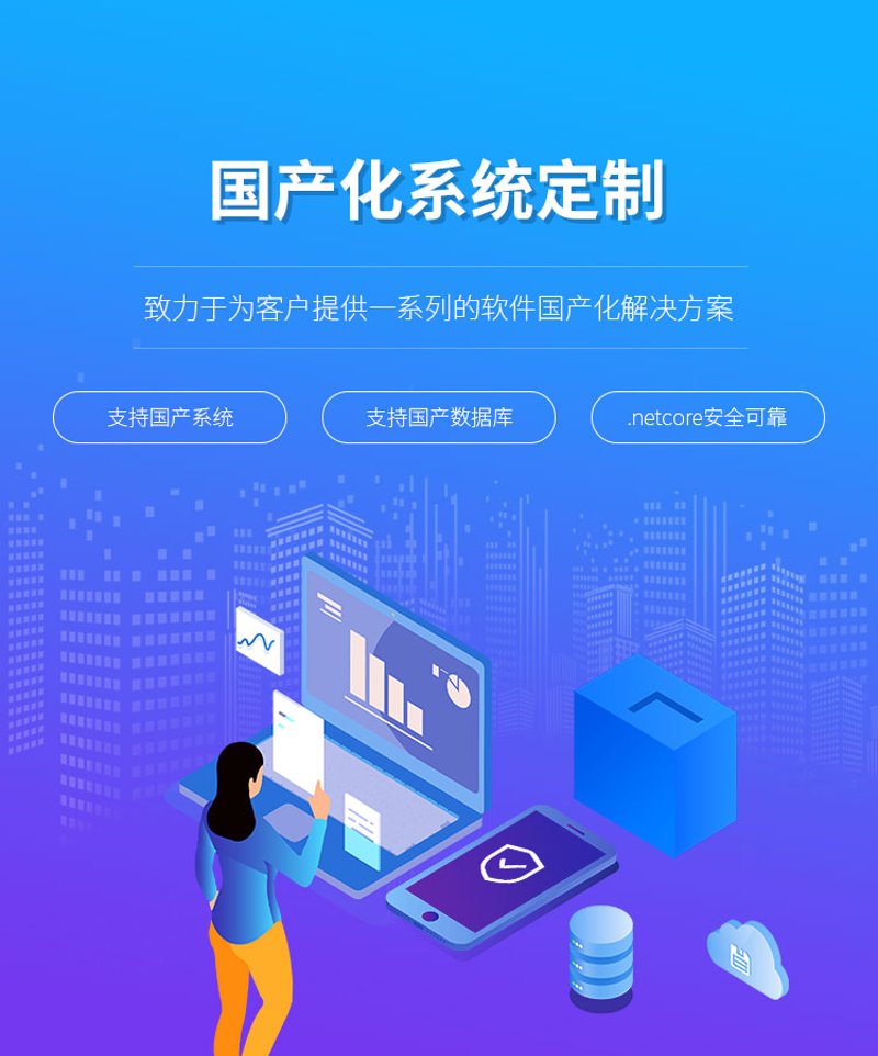 软件定制开发：企业IT战略的催化剂