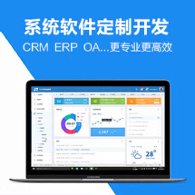 ERP软件开发